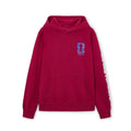 FIFA World Cup 2026 Troronto Maroon Hoodie