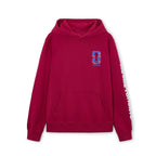 FIFA World Cup 2026 Troronto Maroon Hoodie
